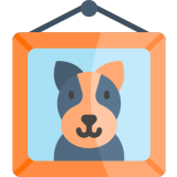 We ship. You share &  enjoy!